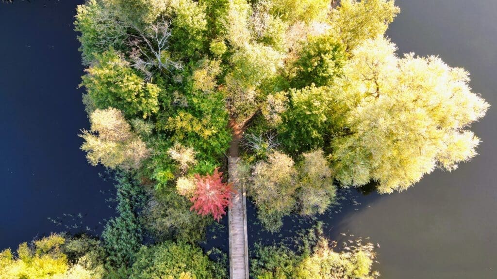 AI skal hjælpe Høje Tastrup Kommune med at øge biodiversiteten