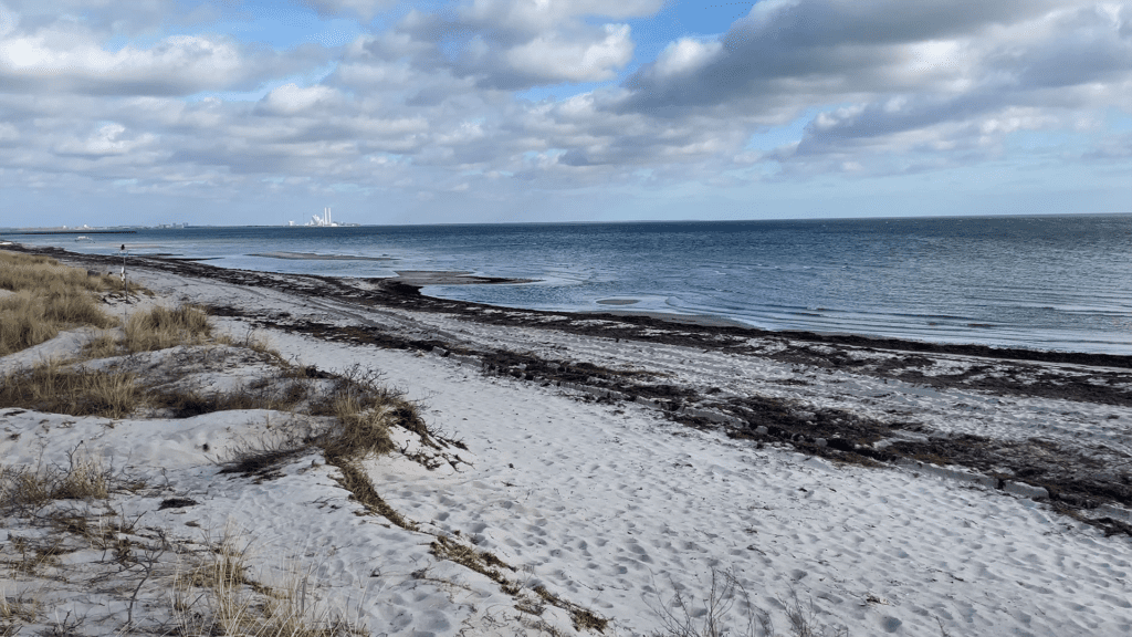 Tema: Kystnetværket – Strandopskyl og kystressourcer i Danmark og Sverige