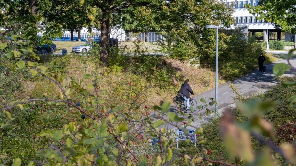 Grøn mobilitetskultur på arbejdspladsen